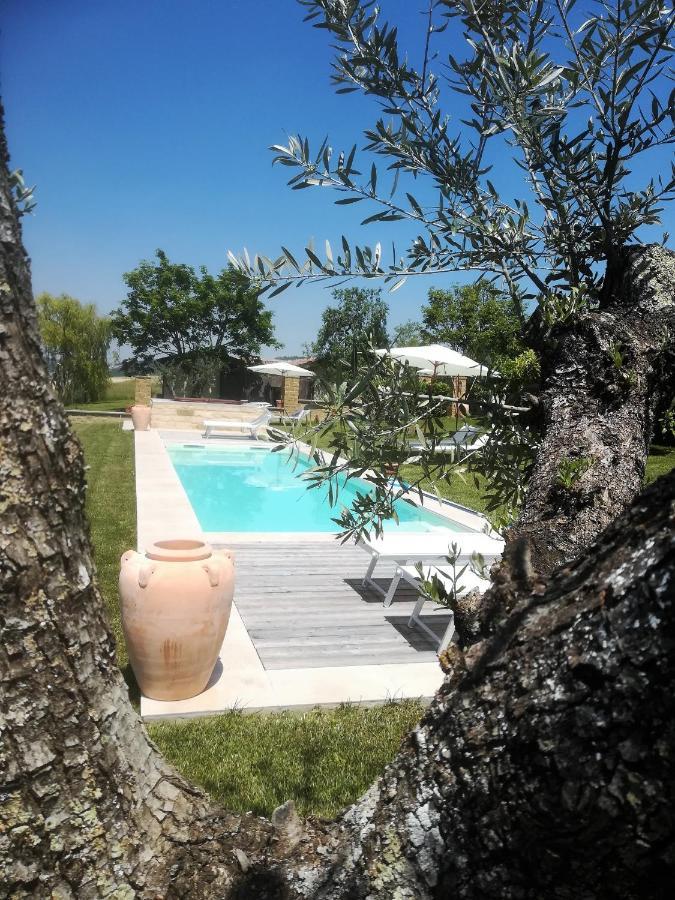 Country House Montessino - Adults Only Ottiglio Bagian luar foto
